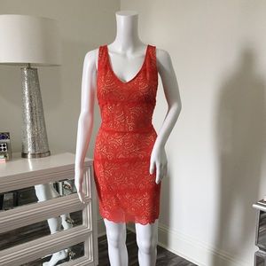 Bebe Lace Dress